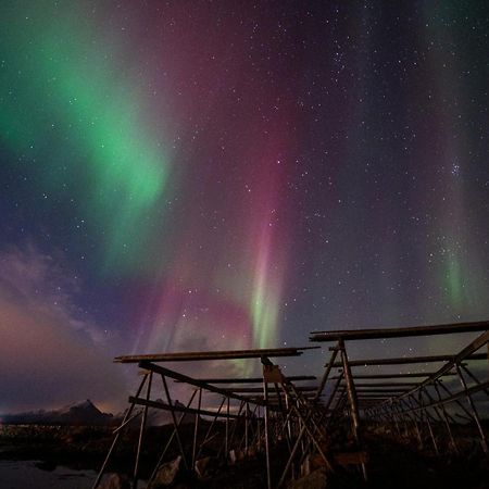 Fish Factory -The Real Lofoten Experience Ballstad Kültér fotó