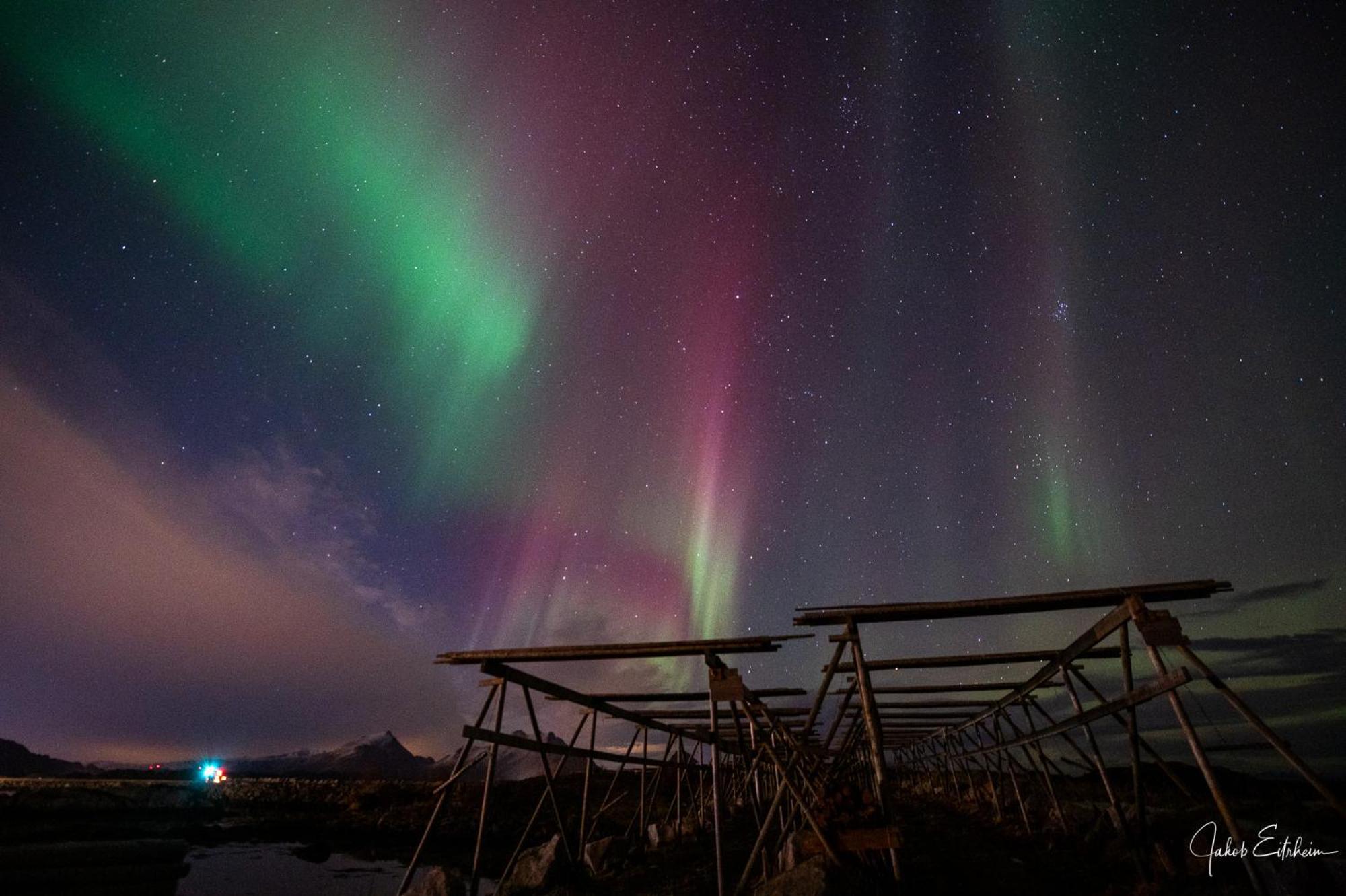 Fish Factory -The Real Lofoten Experience Ballstad Kültér fotó